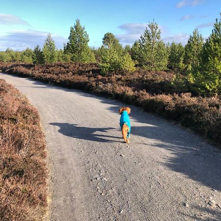 Ventoux Villa อาวีมอร์ ภายนอก รูปภาพ