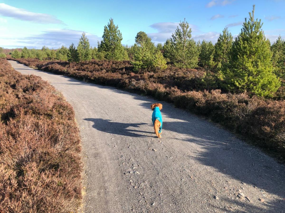 Ventoux Villa อาวีมอร์ ภายนอก รูปภาพ